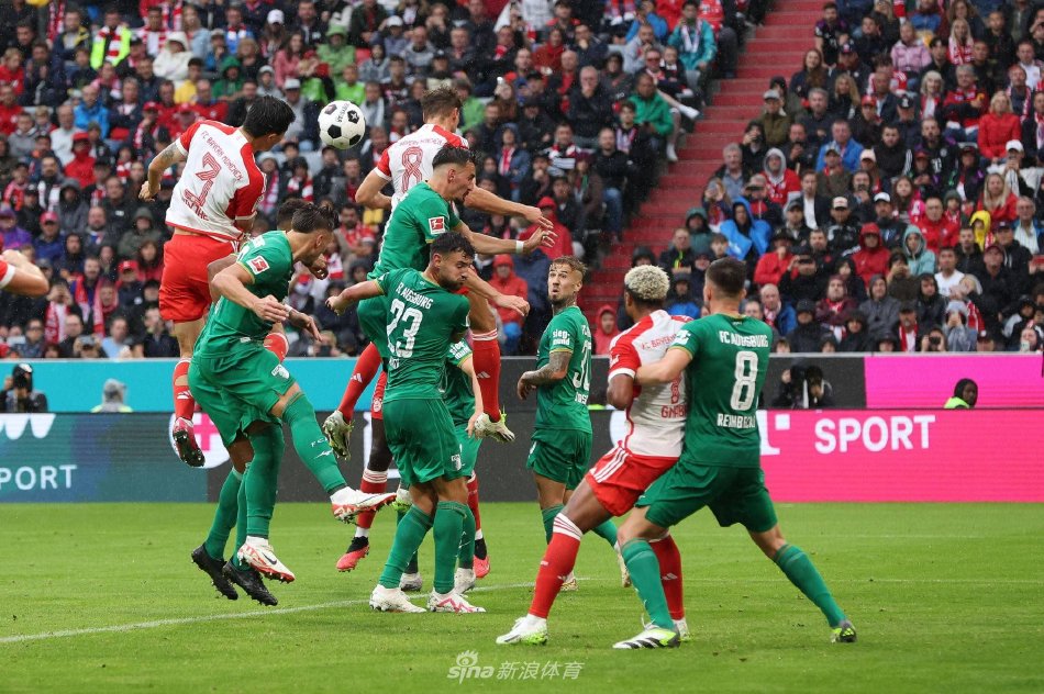 球的发展提 球的发展提